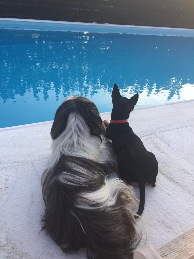 Villa Glyfada Spilia  Екстериор снимка